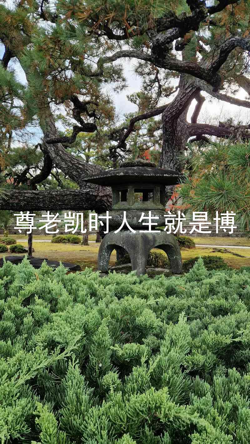 尊老凯时人生就是博