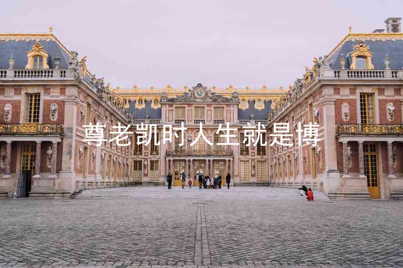 尊老凯时人生就是博