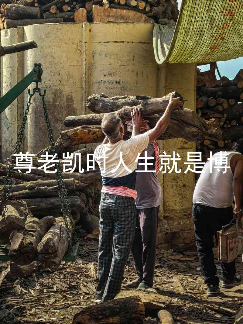 尊老凯时人生就是博