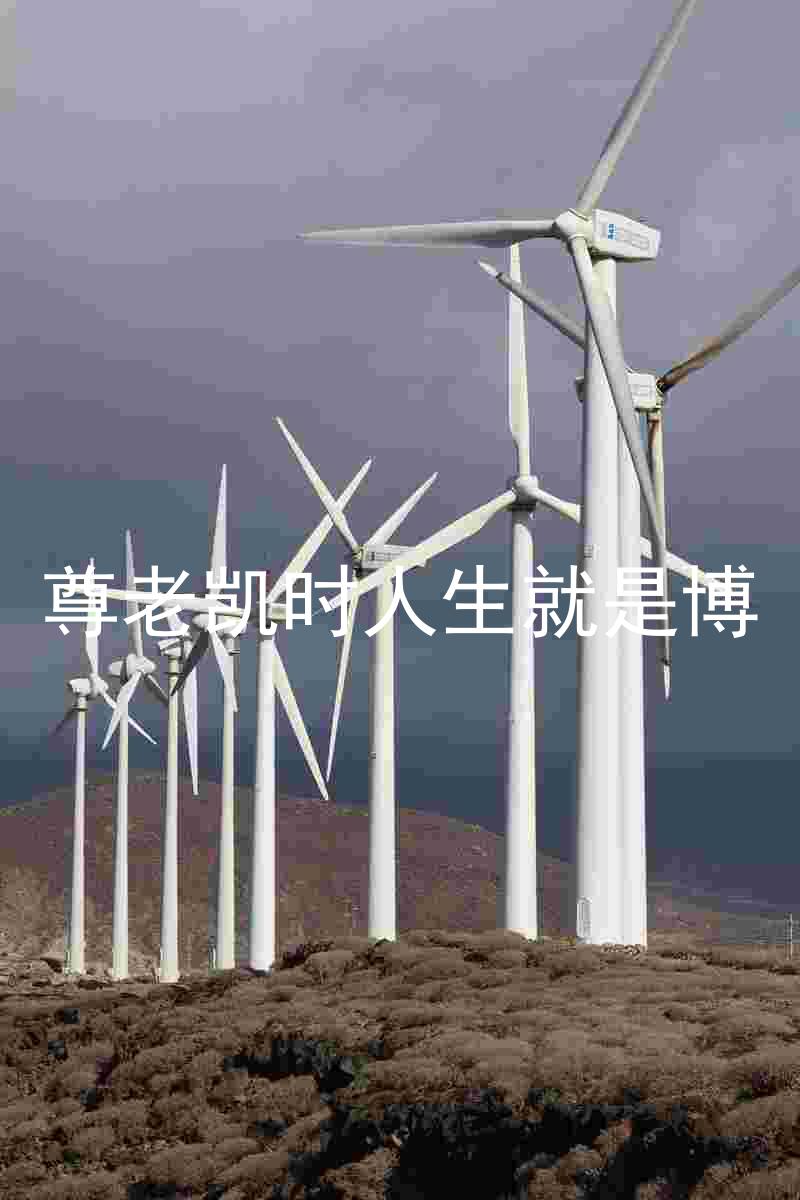 尊老凯时人生就是博