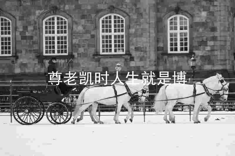 尊老凯时人生就是博